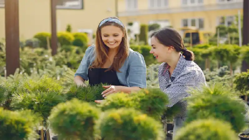 The Growing Importance of Durable and Low-Maintenance Outdoor Designs
