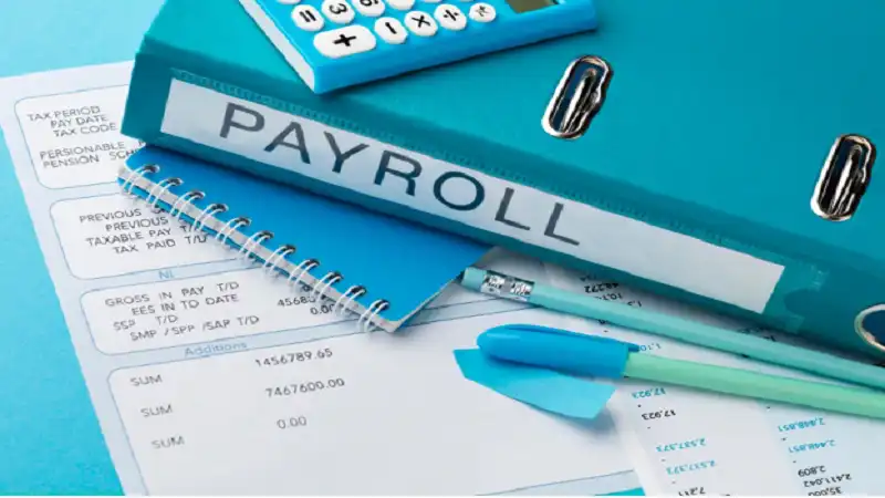 How Modern Payroll Technology Helps Businesses Improve Accuracy