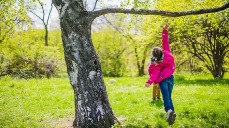 What a Neighborhood's Trees Tell You About Its Age