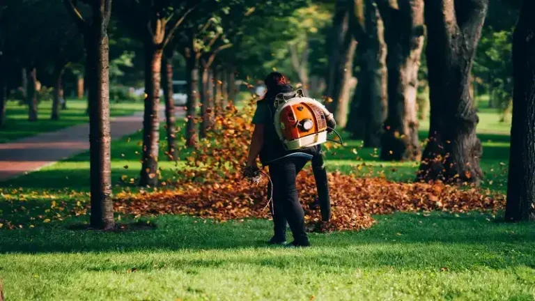 How Seasonal Maintenance Improves Long-Term Turf Performance